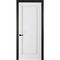 Фото белой двери Классика 1 с чёрным наличником