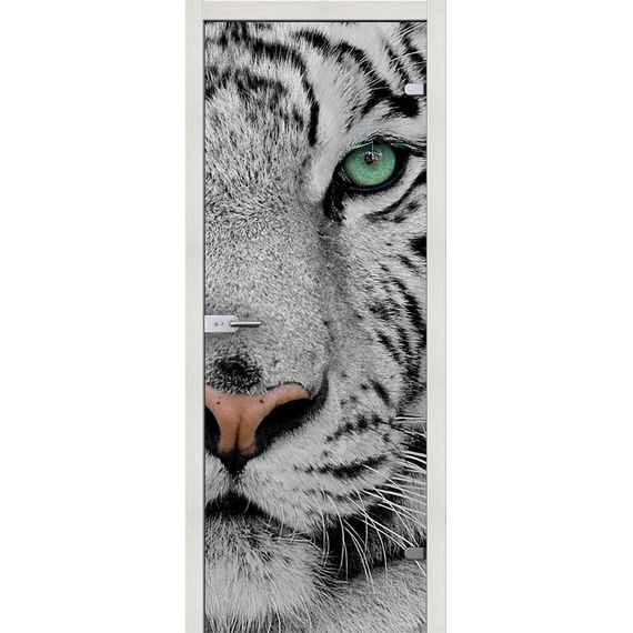 фотография стеклянной двери Акма Animal с наличниками из экошпона в цвете эш вайт мелинга