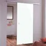 Фото стеклянной раздвижной двери Triplex White в интерьере
