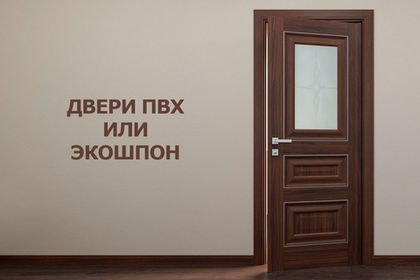 Двери ПВХ или экошпон что лучше