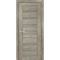 Фото межкомнатной двери экошпон Мариам Техно-808 гриджио стекло сатинат графит