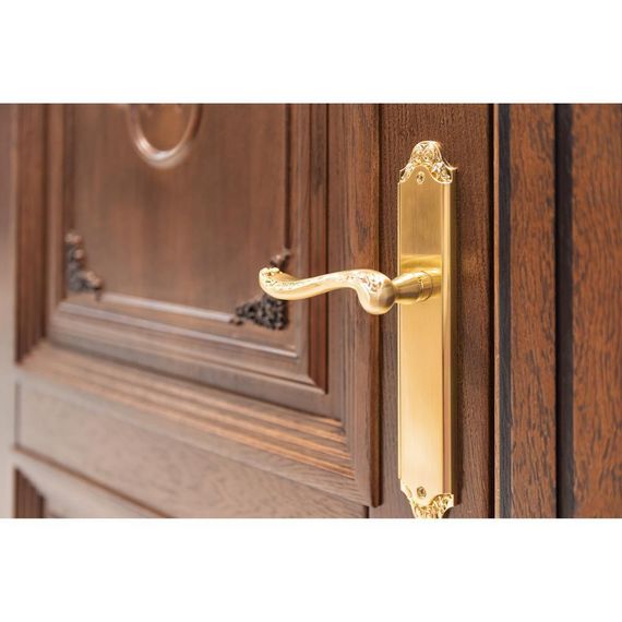 Дверь массив дуба Монако табачный глухая