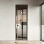 Межкомнатная алюминиевая дверь Loft 1 стекло прозрачное бронзовое