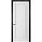 Фото белой двери Классика 1 с чёрным наличником