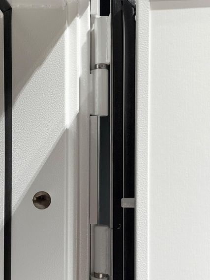 Входная дверь Президент Лайн ПВХ белый матовый панель фоборг