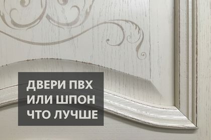 Что лучше выбрать: двери из ПВХ или шпона?