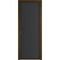 Алюминиевая межкомнатная дверь 1AP деорэ блэк элегант